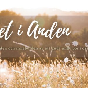 Ett Andefyllt liv