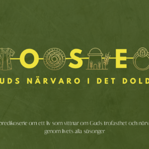 Josef-Guds närvaro i det dolda-Del 1: Skulle du bli vår Kung? 1 Mos 37:3-11; 23-28